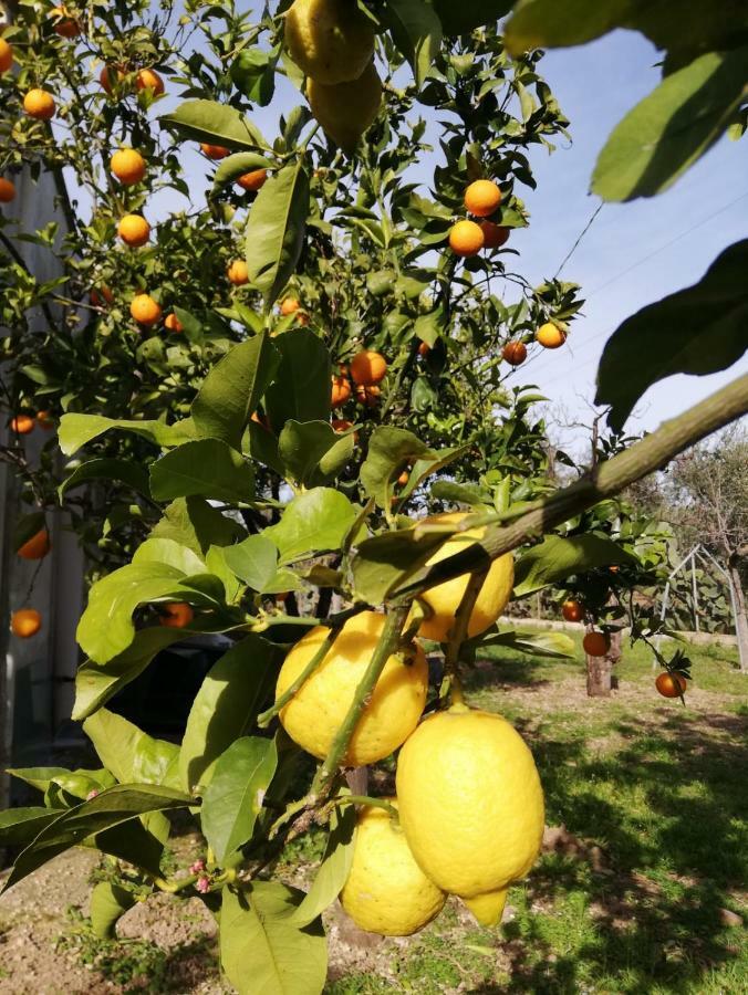 Willa Secret Garden Giovinazzo Zewnętrze zdjęcie