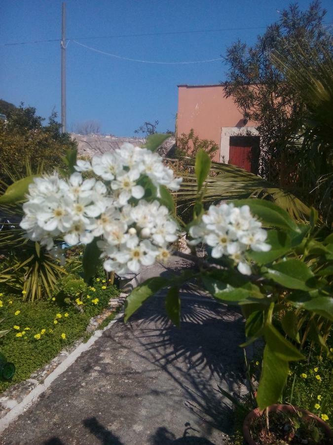 Willa Secret Garden Giovinazzo Zewnętrze zdjęcie